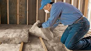 Best Radiant Barrier Insulation  in St Paul, VA